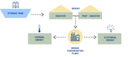 How are biogas plants made